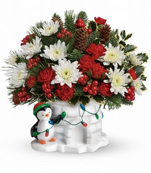 Send a Hug Deck The Igloo by Teleflora 